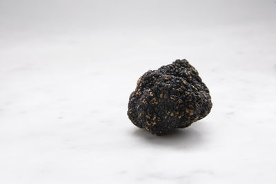 FRESH SUMMER TRUFFLE (TUBER AESTIVUM)