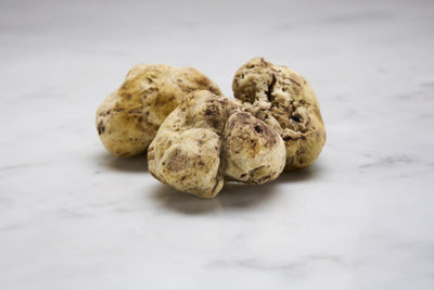 FRESH WHITE TRUFFLE (DIAMOND OF ALBA)
