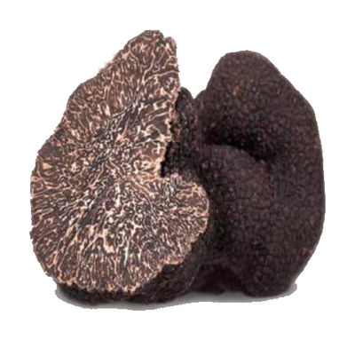 FRESH WINTER BLACK TRUFFLE (TUBERMELANOSPORUM)