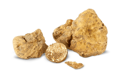 FRESH WHITE MAGNATUM TRUFFLES
